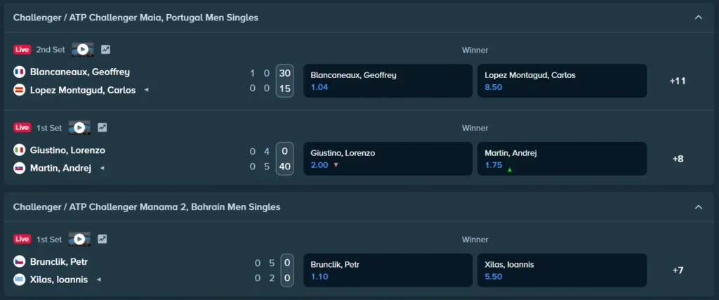 Sports Betting on Stake Site